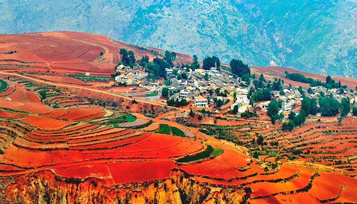 红土地6.jpg 红土地6.jpg