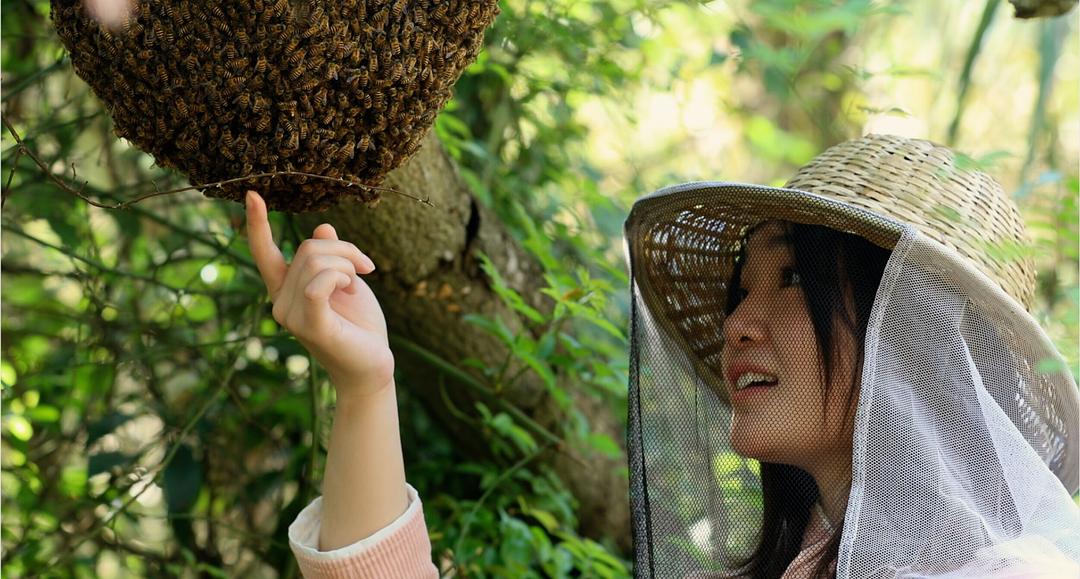 牧蜂姑娘
(2021)的剧照 牧蜂姑娘
(2021)的剧照