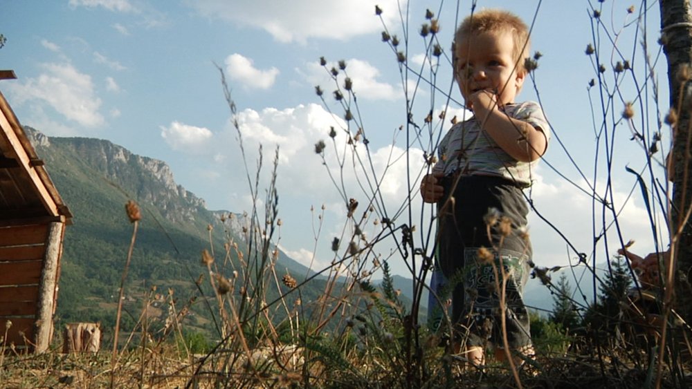 持摄像机的人(2016)的剧照 持摄像机的人(2016)的剧照