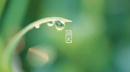 2023年重庆五月份雨水多吗2