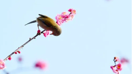 为什么农历二月有30天20232