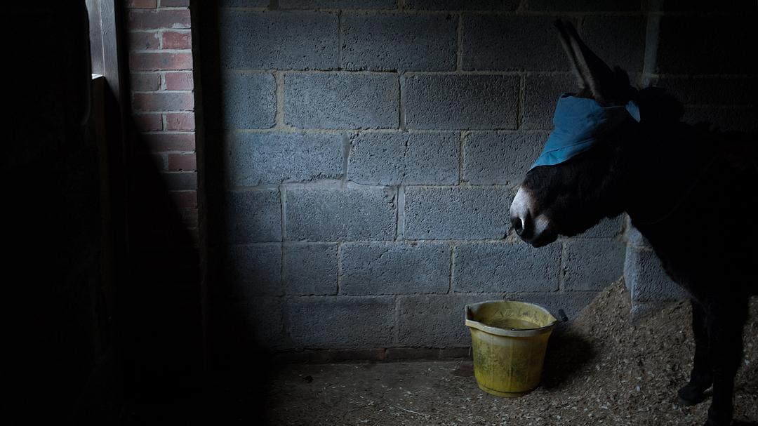 神喻(2016)的剧照 神喻(2016)的剧照