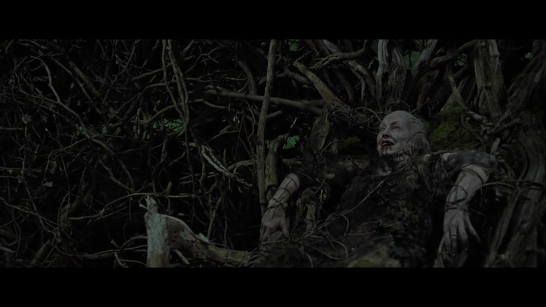 使徒(2018)的剧照 使徒(2018)的剧照