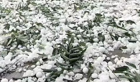 冰雹天车停在树下可挡冰雹吗3