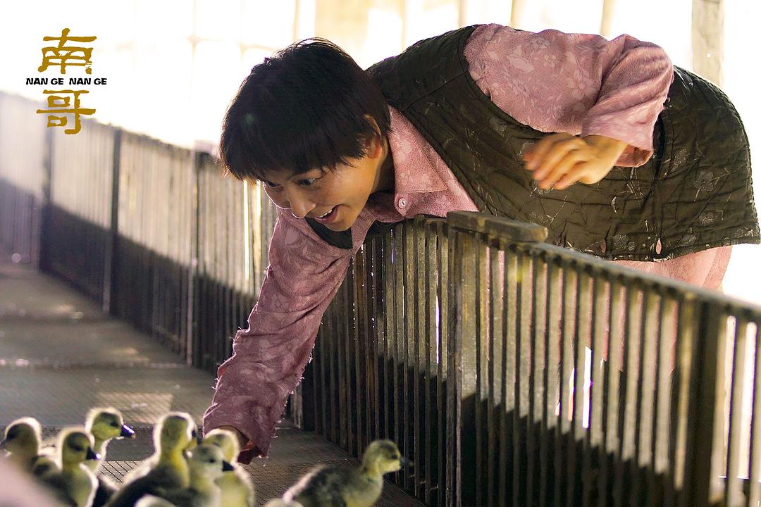 南哥
(2017)的剧照 南哥
(2017)的剧照