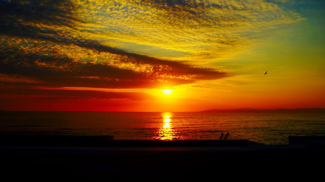 影像之书(2018)的剧照 影像之书(2018)的剧照