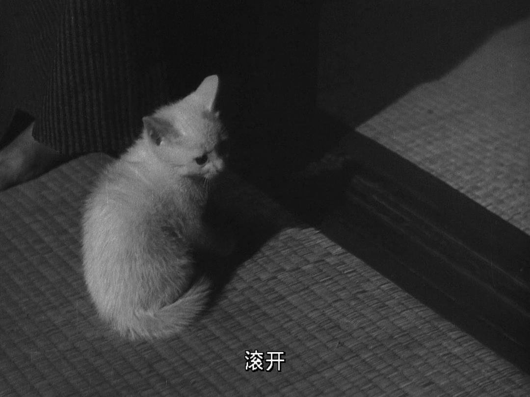 厚壁房间(1956)的剧照 厚壁房间(1956)的剧照