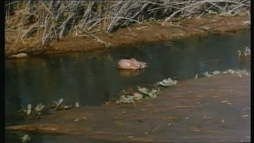 不可思议的融化人(1977)的剧照 不可思议的融化人(1977)的剧照