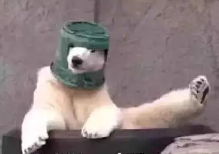 5分钟,了解微量元素 5分钟,了解微量元素