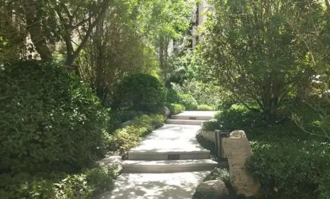 5月1号取消维修基金是真的吗20233