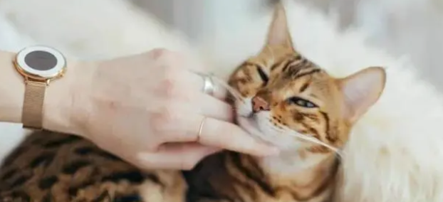 5分钟,了解微量元素 5分钟,了解微量元素