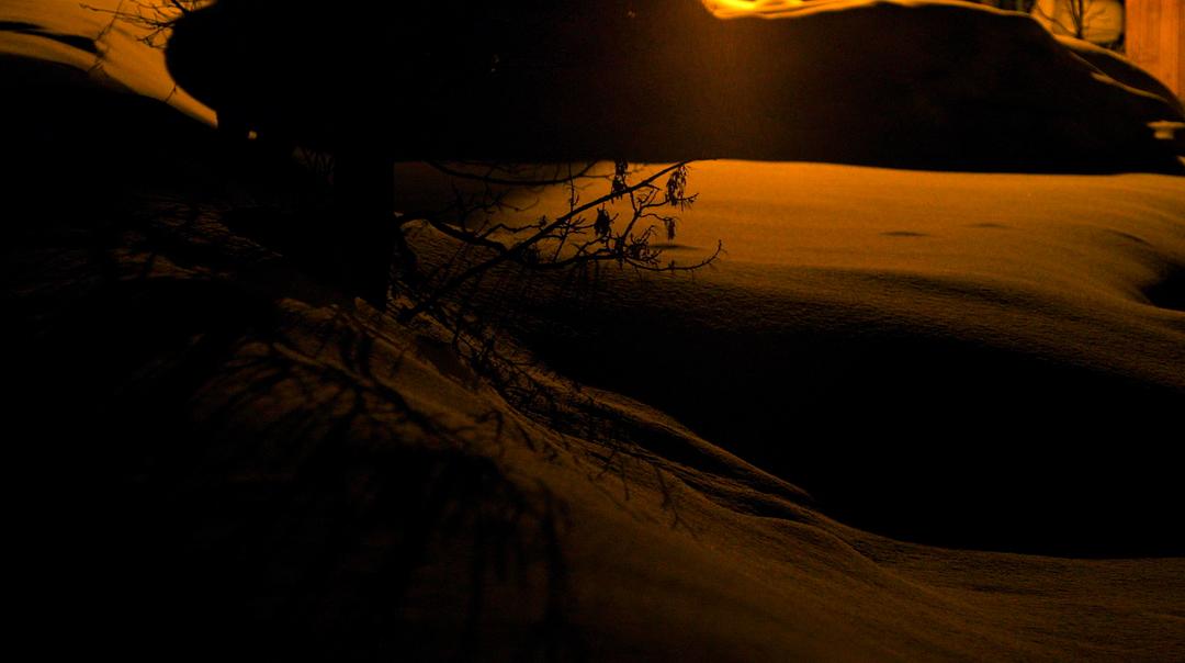 一位中国钢琴家与巴赫(2014)的剧照 一位中国钢琴家与巴赫(2014)的剧照