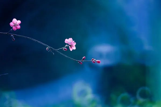 2023属鼠躲春回避什么生肖2