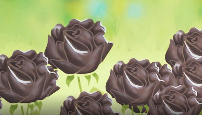 黑玫瑰花语 黑玫瑰花语是什么