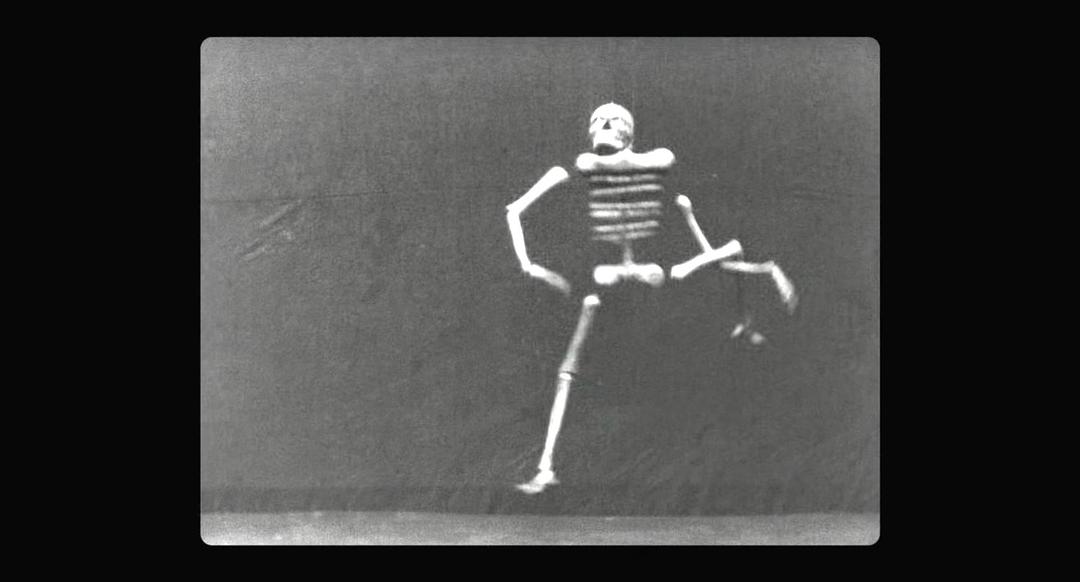 卢米埃尔!冒险开始(2016)的剧照 卢米埃尔!冒险开始(2016)的剧照