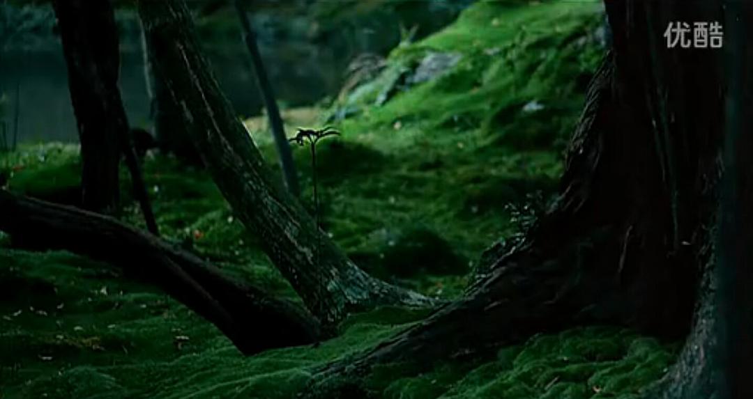 禅院秘境:梦窗(1992)的剧照 禅院秘境:梦窗(1992)的剧照