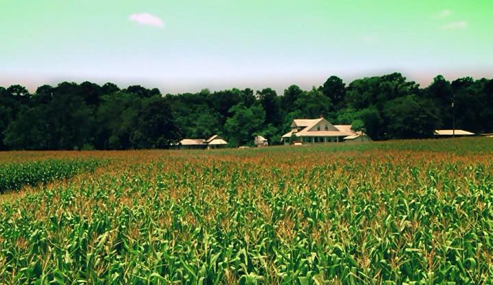 痛苦宝贝(2008)的剧照 痛苦宝贝(2008)的剧照