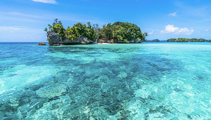 海洋--8.jpg 海洋--8.jpg