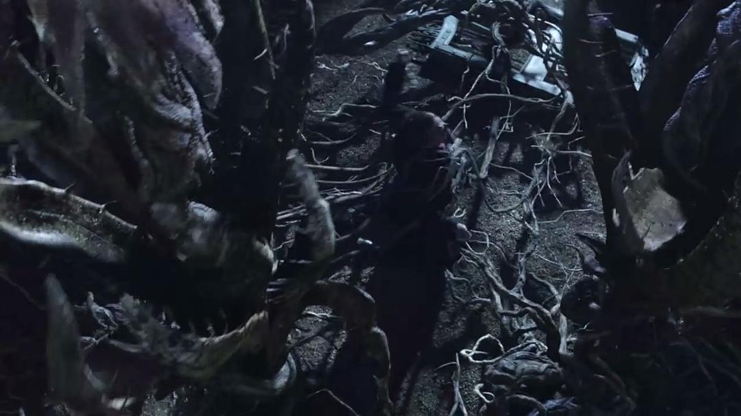 三尖树时代(2009)的剧照 三尖树时代(2009)的剧照