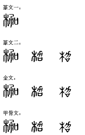 “枷”汉字演变