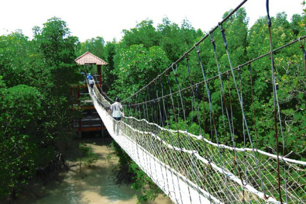 柔佛龟咯岛国家公园