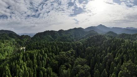 广东南岭国家森林公园