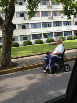 华东师大校园中的王家范