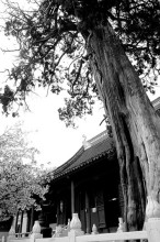 玄墓山圣恩寺
玄墓山圣恩寺