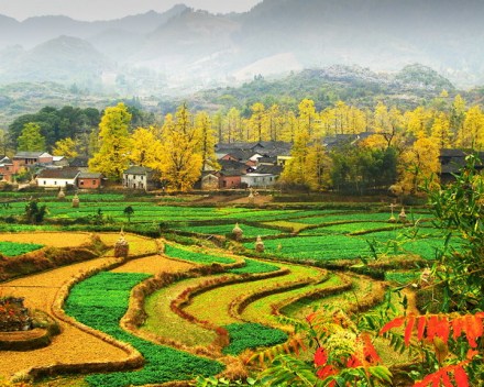 海洋山乡秋韵 海洋山乡秋韵