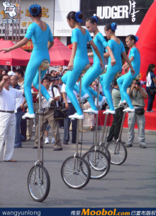 齐齐哈尔马戏团 齐齐哈尔马戏团