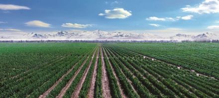 河西走廊土地 河西走廊土地