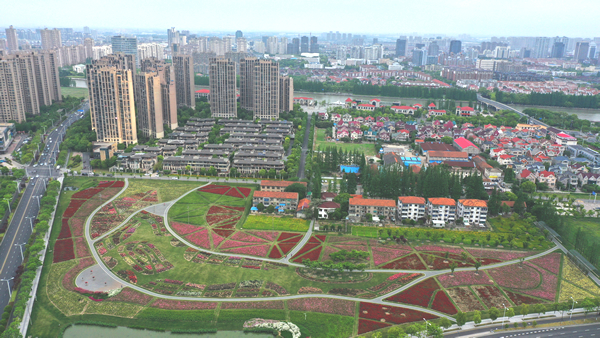 位于科教新城的开放式月季公园 位于科教新城的开放式月季公园