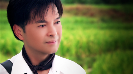 相逢何必曾相识 何儒风 相逢何必曾相识 何儒风