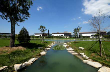 阿胶生物科技园 阿胶生物科技园