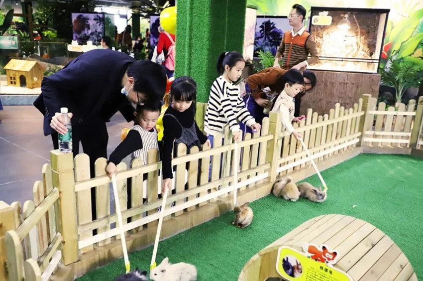 客都人家-萌宠乐园