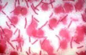 生化武器 生化武器