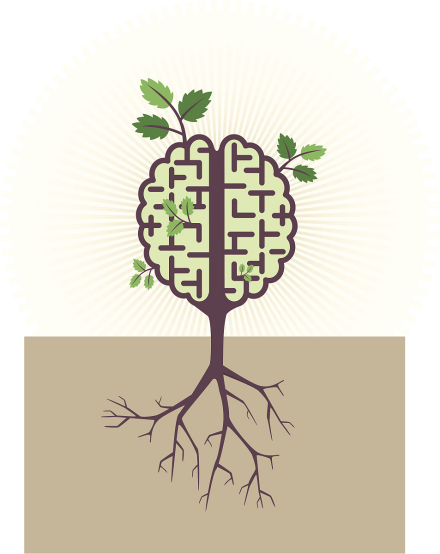 心理环境 心理环境