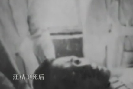 汪精卫遗照 汪精卫遗照