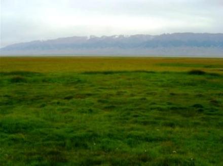 巴里坤草原 巴里坤草原