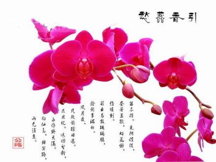 中国文化 绘画 中国文化 绘画