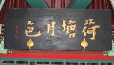 荷塘月色 荷塘月色