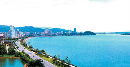 长堤戏浪 长堤戏浪