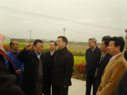 韩正调研都市现代农业发展 韩正调研都市现代农业发展