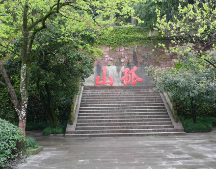 梅花国画 梅花国画