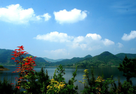 荆竹水库 荆竹水库