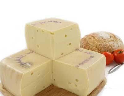 奶酪 奶酪