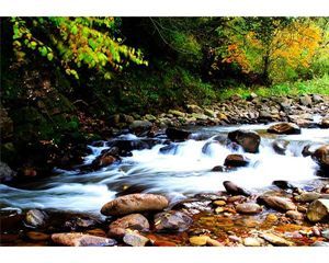 高乐山国家级自然保护区 高乐山国家级自然保护区