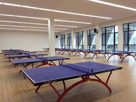 乒乓球台