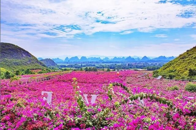 桂林花海
桂林花海