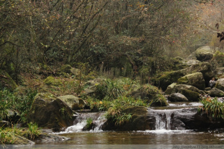 康县梅园河 康县梅园河